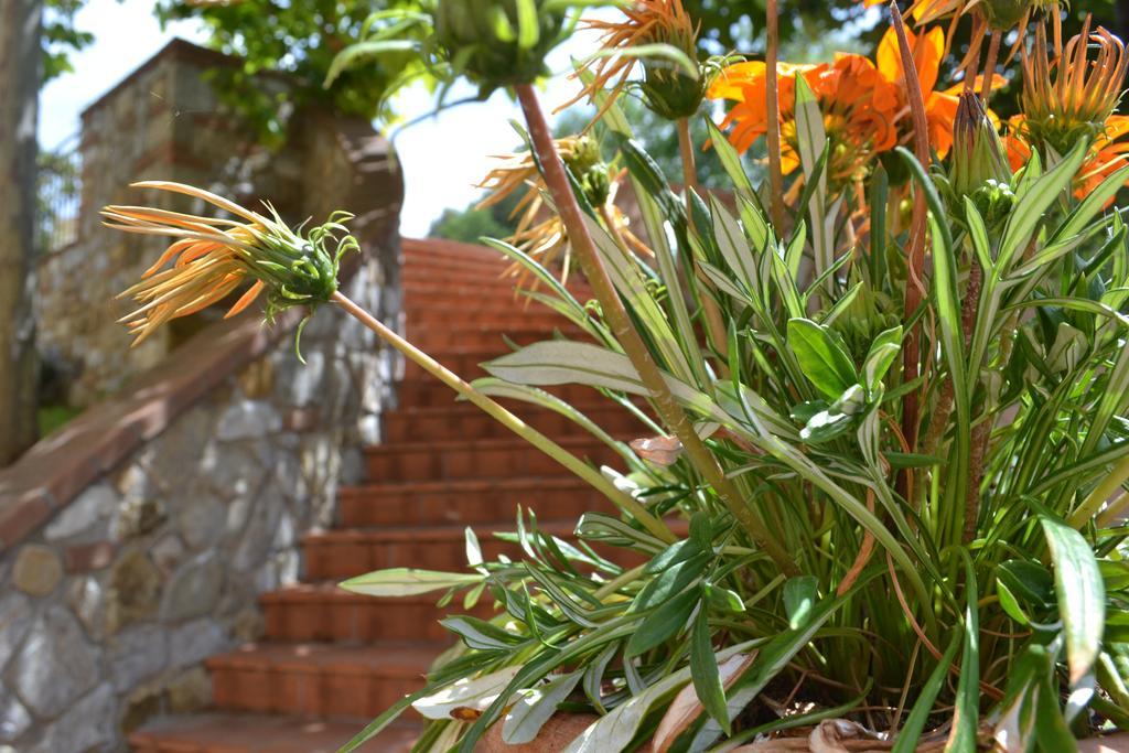 Agriturismo La Ghiraia Santa Luce Ngoại thất bức ảnh