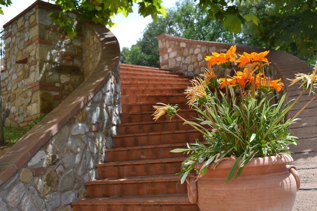 Agriturismo La Ghiraia Santa Luce Ngoại thất bức ảnh