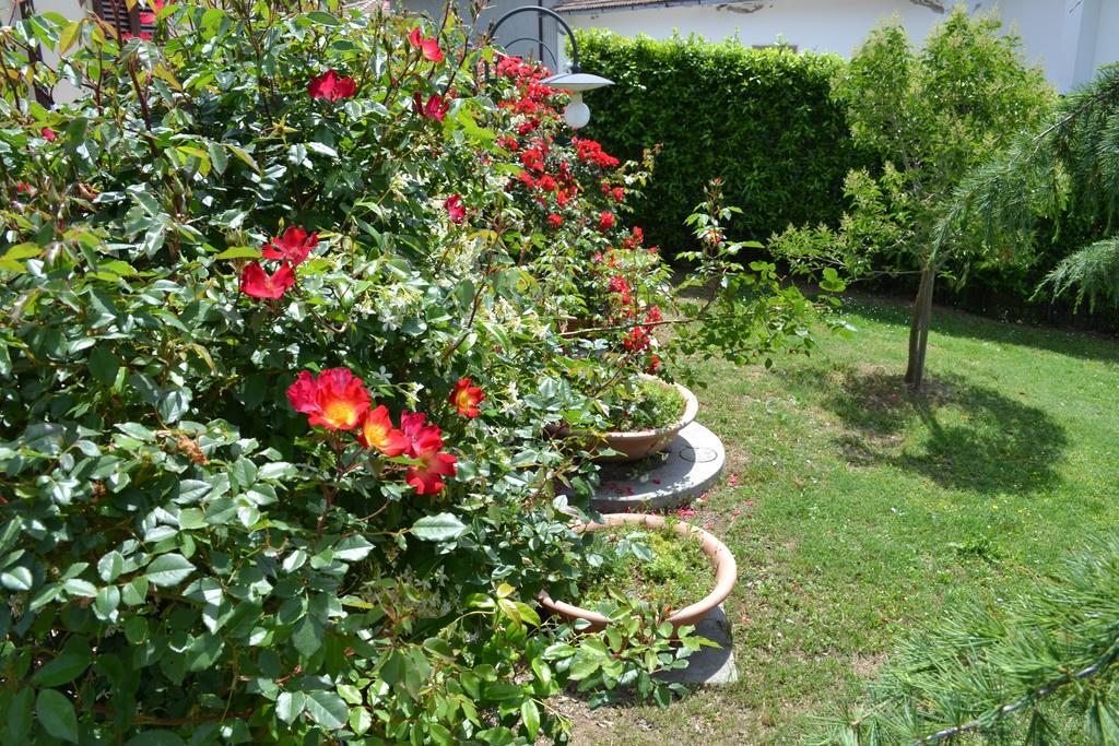 Agriturismo La Ghiraia Santa Luce Ngoại thất bức ảnh